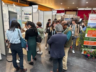 No comment added to this photo.