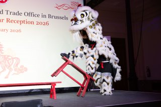 The Hong Kong Economic and Trade Office in Brussels hosted a Chinese New Year reception in Brussels, Belgium on February 17 (Brussels time), as part of the celebration series for the Year of the Horse. Photo shows an impressive lion dance performance presented by Legends of Liondance Association and the Choi Lee Fat Belgium Kungfu Lion and Dragon Dance Association during the Chinese New Year reception in Brussels.
