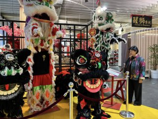 Celebrating CNY and Welcoming the God of Wealth in Antwerp, Belgium, photo 2 of 6